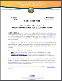 Modified Guidelines for Electronic Filing